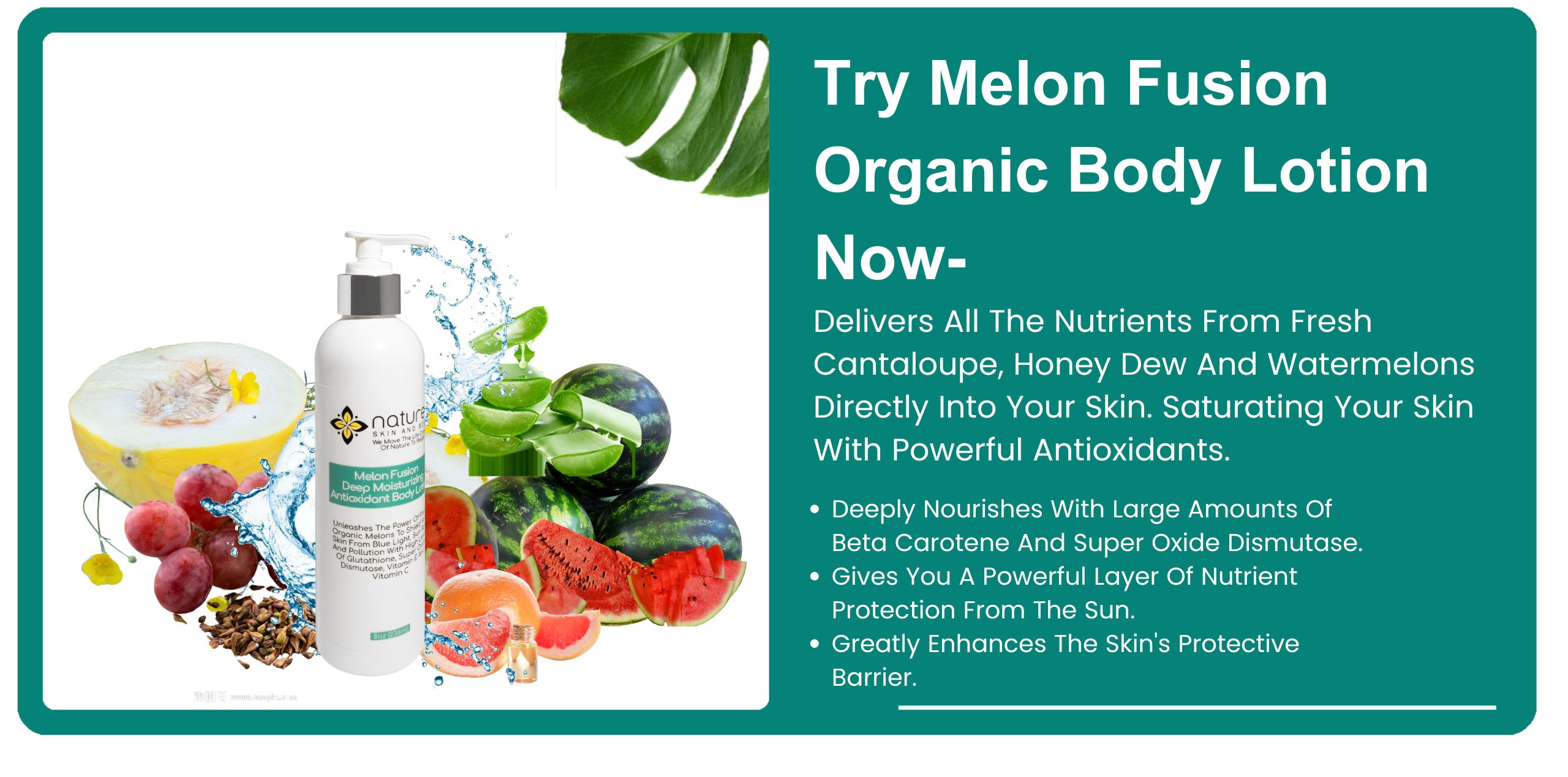 Melon Fusion Organic Body Lotion-Delivers All The Nutrients From Fresh Cantaloupe, Honey Dew And Watermelon Directly Into Your Skin. Provides Superior Antioxidant Protection. banner