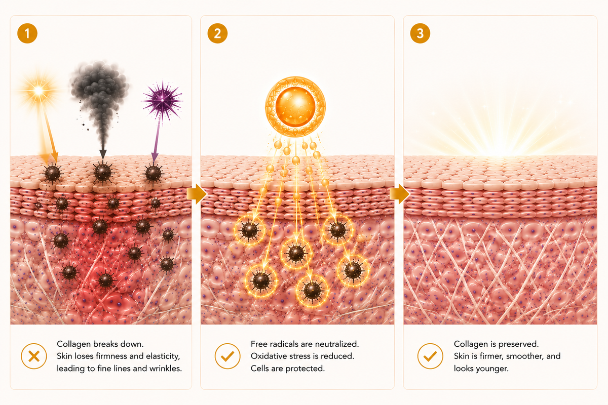 Firmer, Younger-Looking Skin