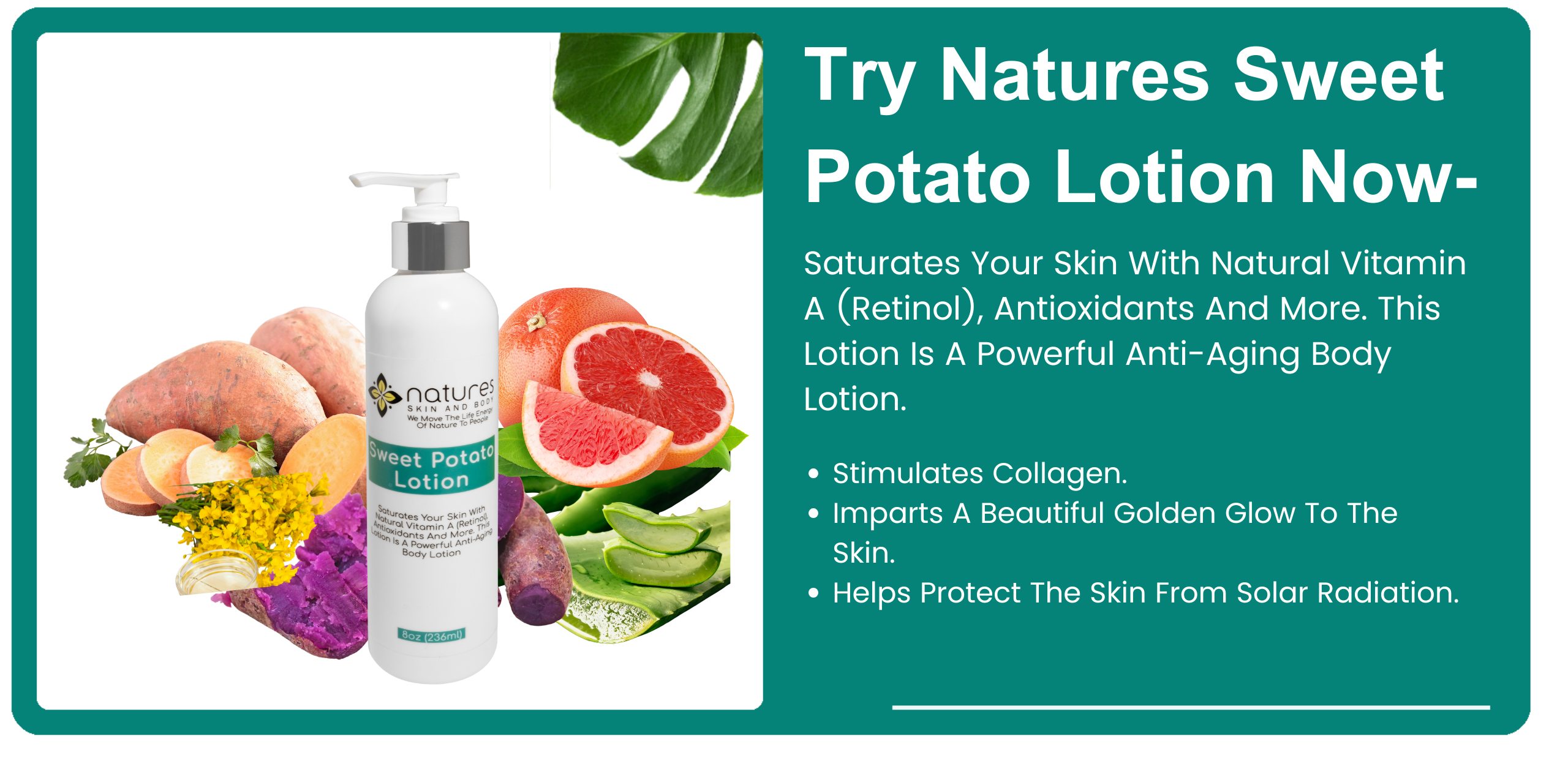 Natures Sweet Potato Lotion- Saturates Your Skin With Natural Vitamin A (Retinol), Antioxidants And More. This Lotion Is A Powerful Anti-Aging Body Lotion. banner